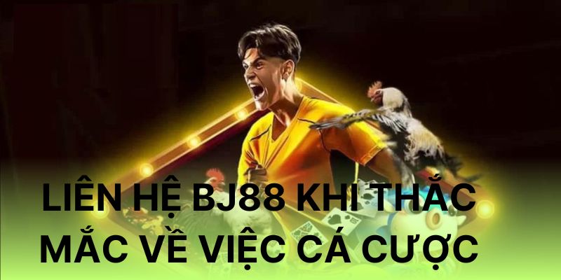 Liên hệ nhà cái BJ88 khi thắc mắc về việc cá cược