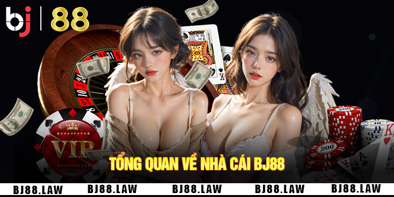 Nhà cái không xa lạ với các tay chơi chuyên nghiệp